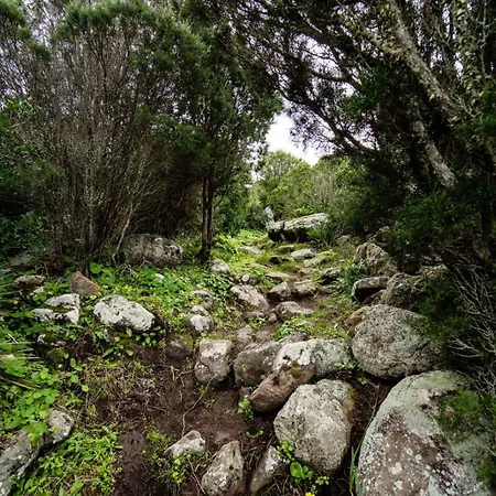 Casa Peppina Lejlighed Sant'Antìoco